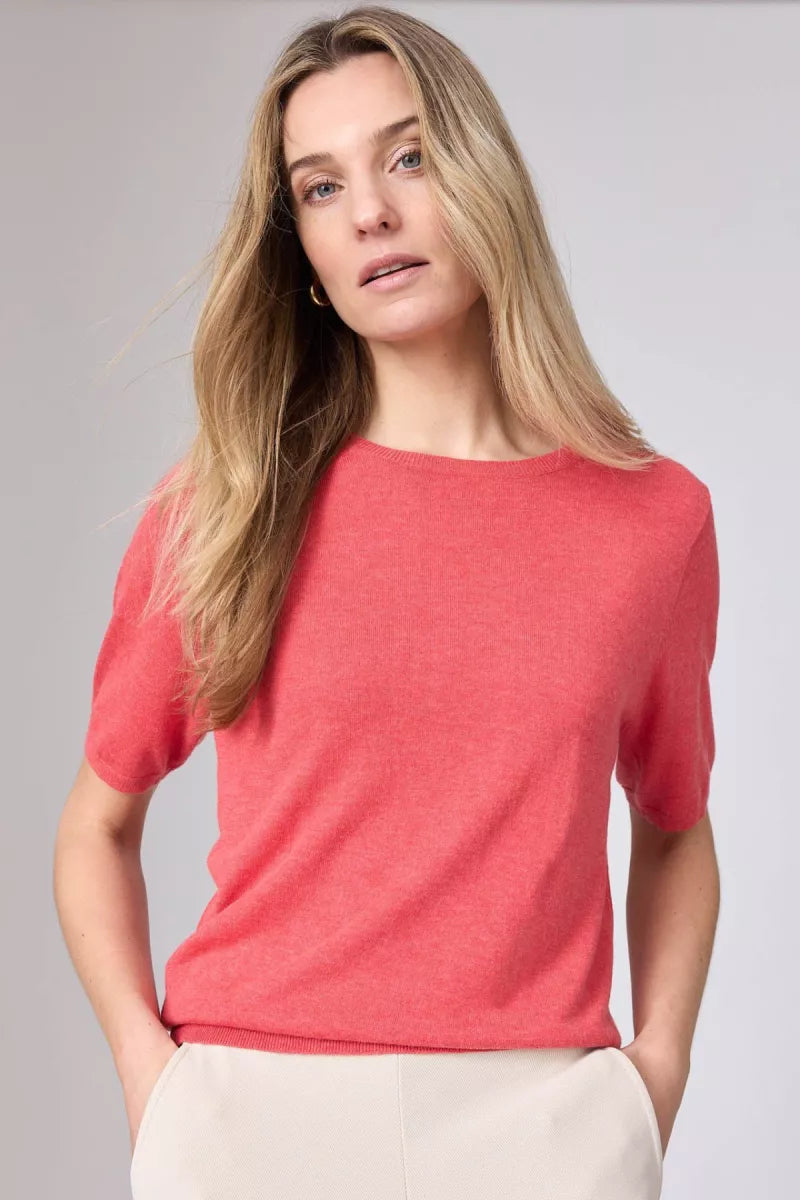 Corel Corel Top Koraal